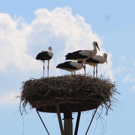 Am Storchennest Apartment Damnatz Luaran gambar